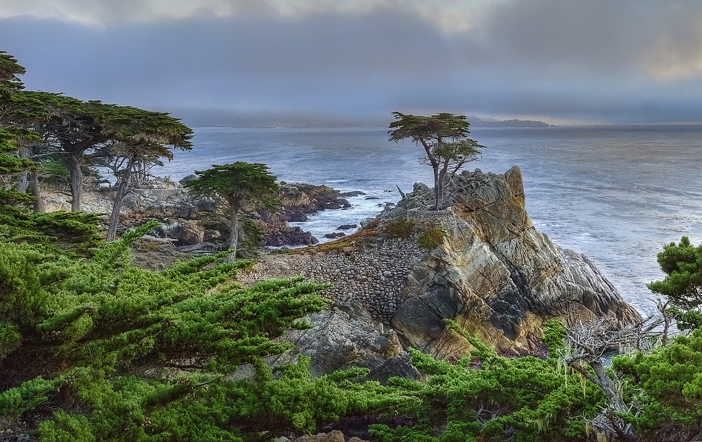 Creative Commons Creative Commons Attribution 2.0 Generic License Photo "Lone Cypress" by Anita Ritenour