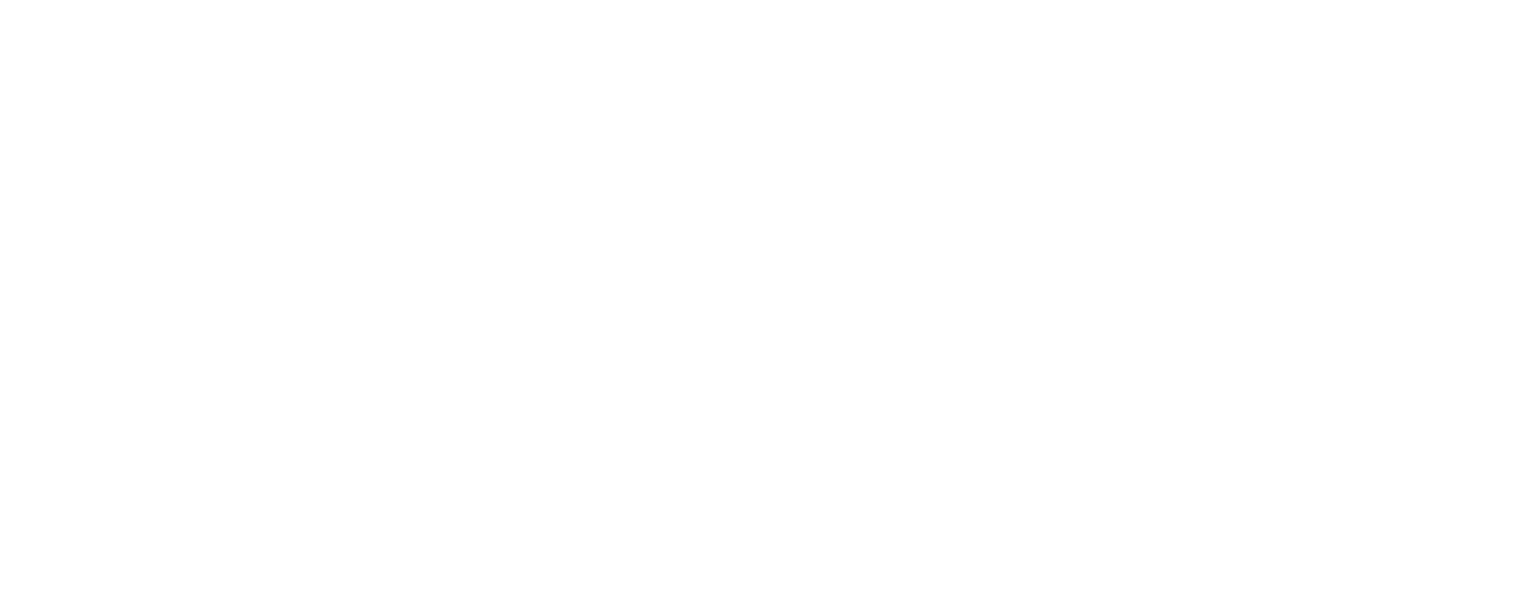 StreamNative Monochrome White Logo